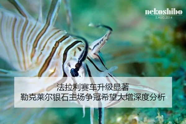法拉利赛车升级显著 勒克莱尔银石主场争冠希望大增深度分析
